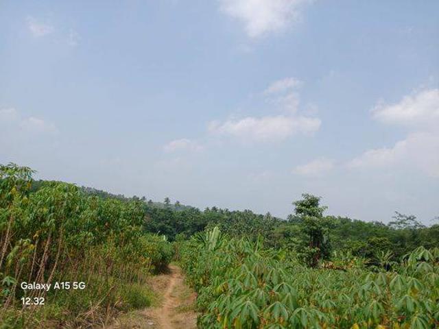 Tanah dijual di Kalanganyar, Lebak