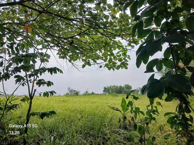 Tanah dijual di Kalanganyar, Lebak