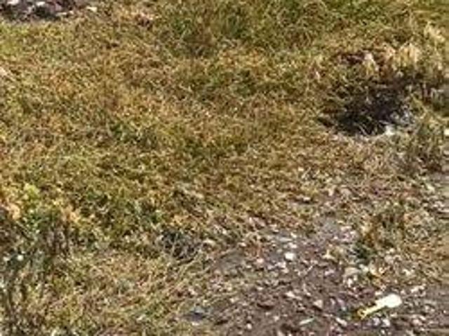 Tanah dijual di Karangtanjung, Pandeglang
