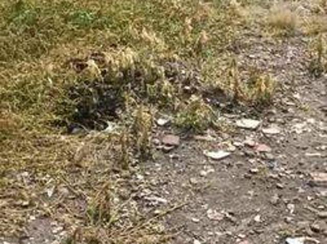 Tanah dijual di Karangtanjung, Pandeglang