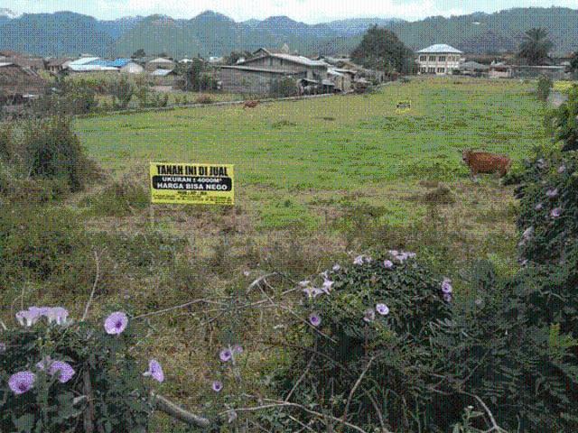 Tanah dijual di Kebayakan, Aceh Tengah
