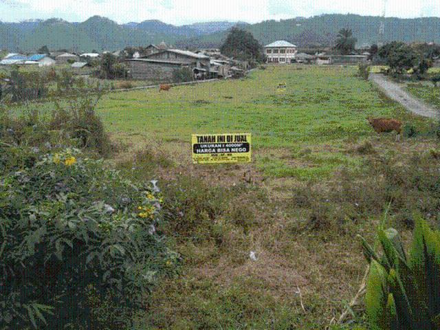 Tanah dijual di Kebayakan, Aceh Tengah