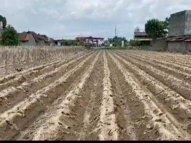 Tanah dijual di Kediri