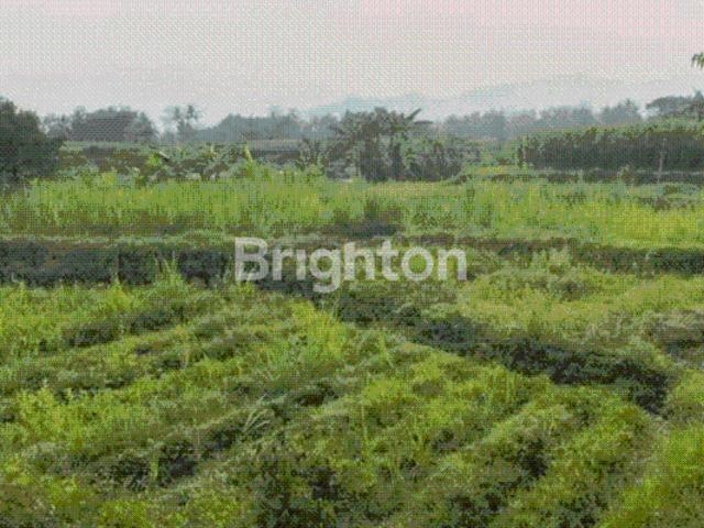 Tanah dijual di Kepung, Kediri