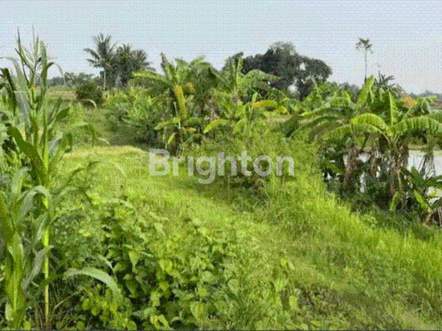 Tanah dijual di Kepung, Kediri