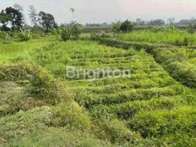 Tanah dijual di Kepung, Kediri