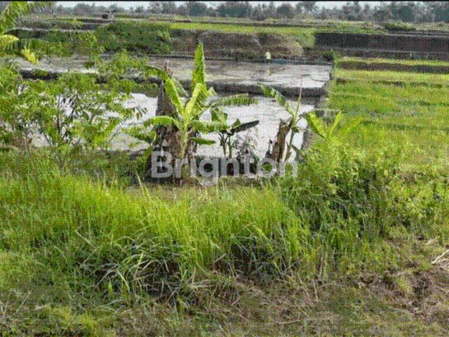 Tanah dijual di Kepung, Kediri