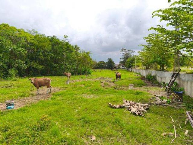 Tanah dijual di Kerobokan, Badung