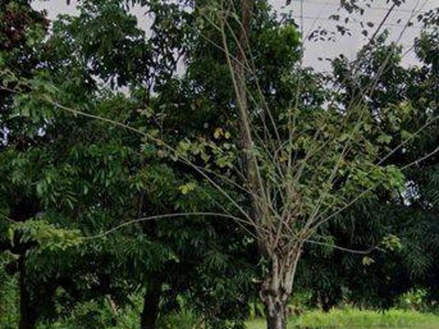 Tanah dijual di Kuta, Badung