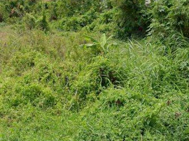 Tanah dijual di Kuta, Badung