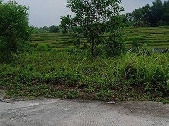 Tanah dijual di Maja, Lebak