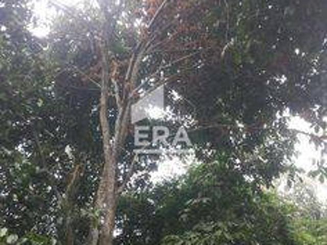 Tanah dijual di Maja, Lebak