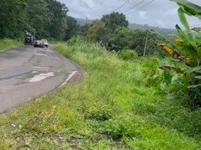 Tanah dijual di Malingping, Lebak
