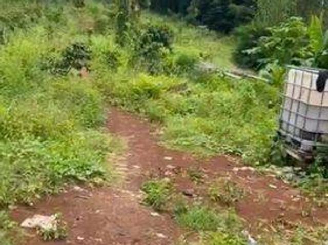 Tanah dijual di Malingping, Lebak