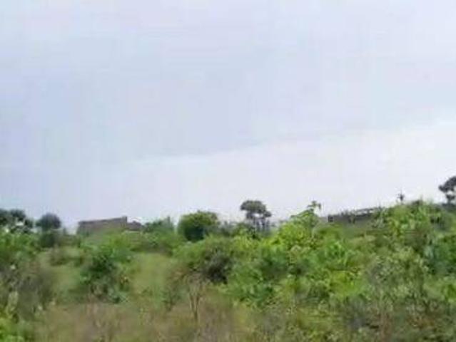 Tanah dijual di Malingping, Lebak