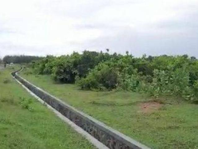Tanah dijual di Malingping, Lebak