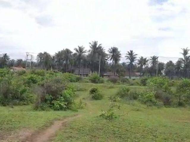 Tanah dijual di Malingping, Lebak