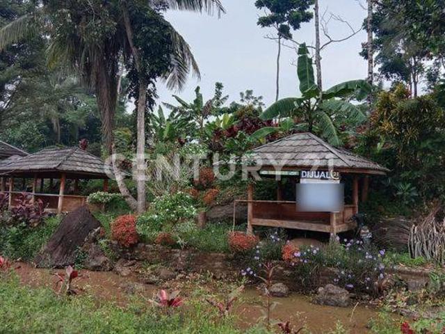 Tanah dijual di Mandalawangi, Pandeglang