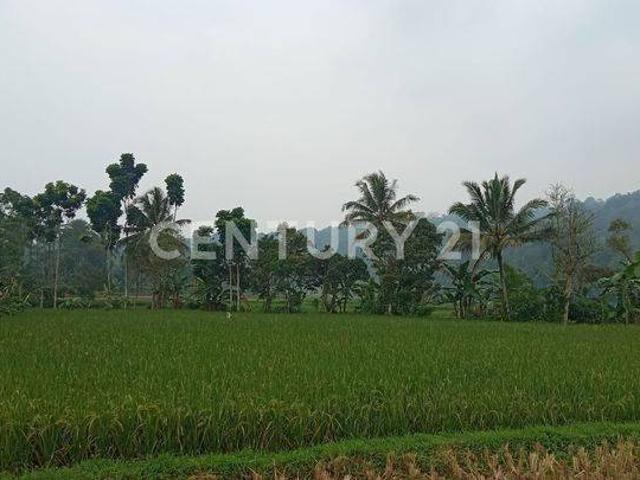 Tanah dijual di Mandalawangi, Pandeglang