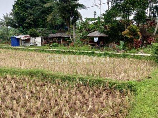 Tanah dijual di Mandalawangi, Pandeglang