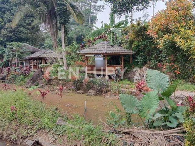 Tanah dijual di Mandalawangi, Pandeglang