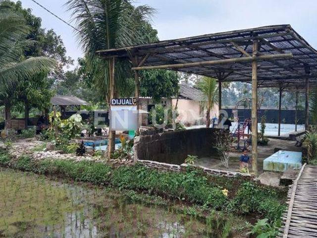Tanah dijual di Mandalawangi, Pandeglang