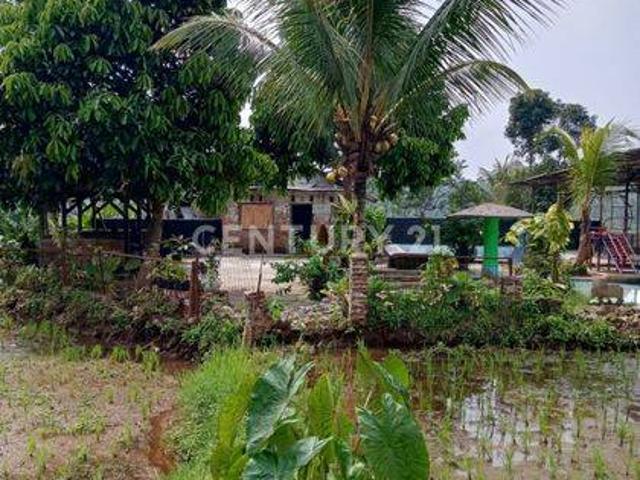 Tanah dijual di Mandalawangi, Pandeglang