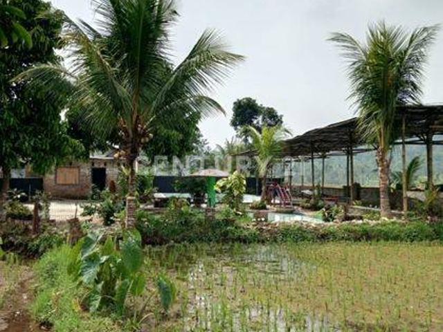 Tanah dijual di Mandalawangi, Pandeglang