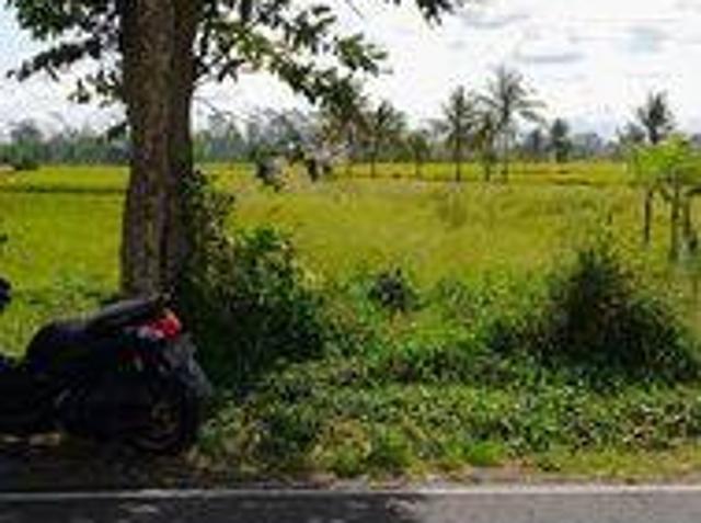 Tanah dijual di Mengwi, Badung