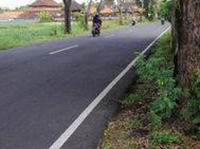 Tanah dijual di Mengwi, Badung