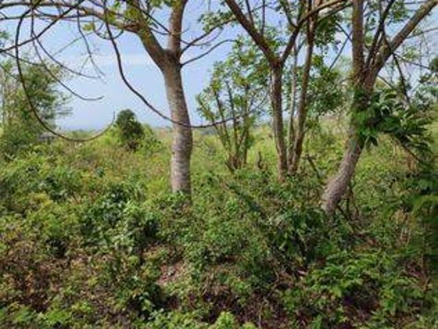 Tanah dijual di Nusa Dua, Badung