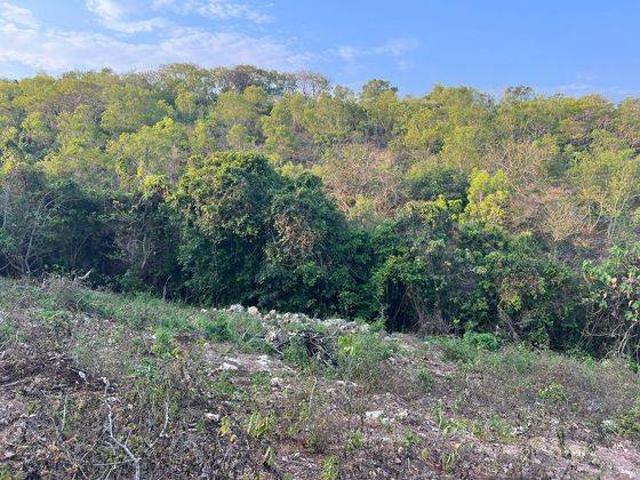 Tanah dijual di Nusa Dua, Badung