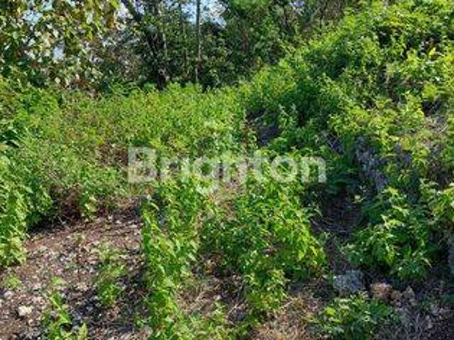 Tanah dijual di Nusa Dua, Badung