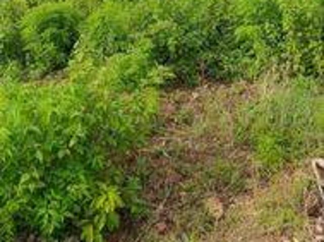 Tanah dijual di Nusa Dua, Badung