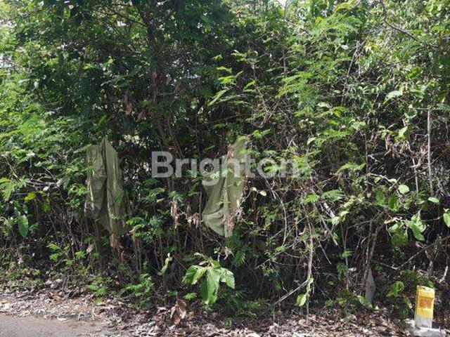 Tanah dijual di Nusa Dua, Badung
