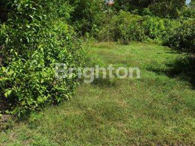 Tanah dijual di Nusa Dua, Badung