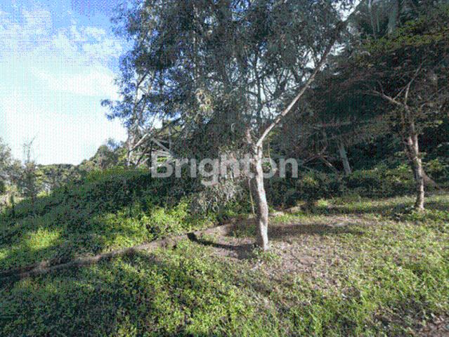 Tanah dijual di Palaran, Samarinda
