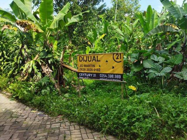 Tanah dijual di Pandeglang, Pandeglang