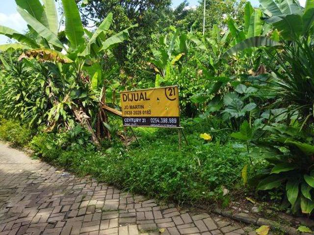Tanah dijual di Pandeglang, Pandeglang