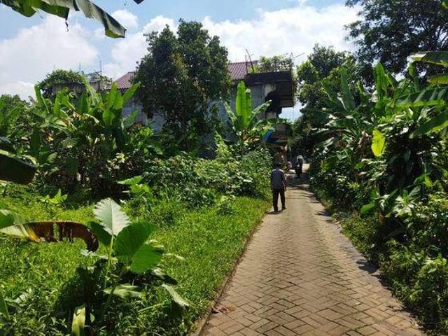 Tanah dijual di Pandeglang, Pandeglang