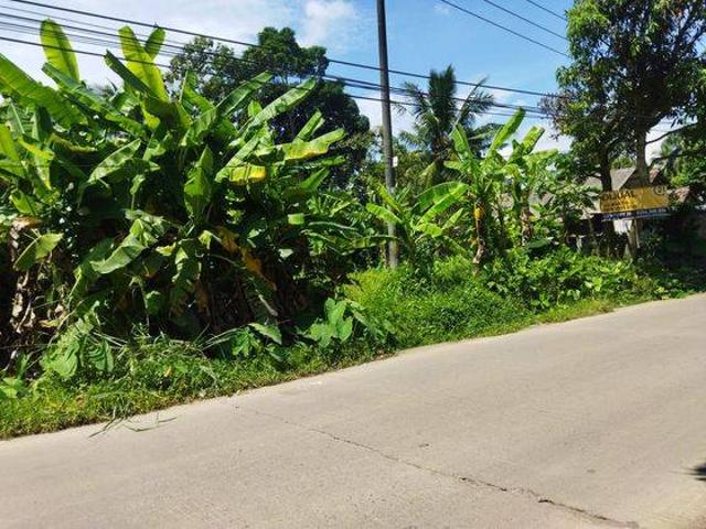 Tanah dijual di Pandeglang, Pandeglang