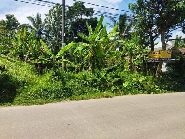Tanah dijual di Pandeglang, Pandeglang