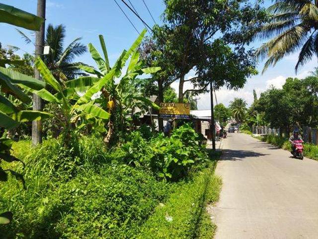 Tanah dijual di Pandeglang, Pandeglang