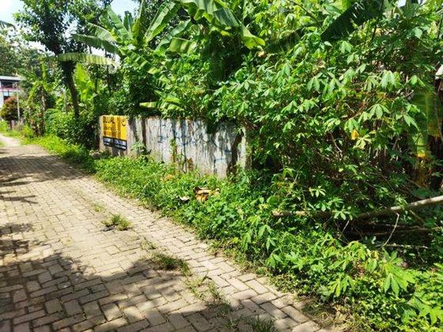 Tanah dijual di Pandeglang, Pandeglang