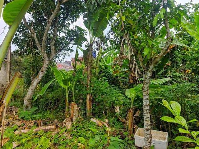 Tanah dijual di Pandeglang, Pandeglang