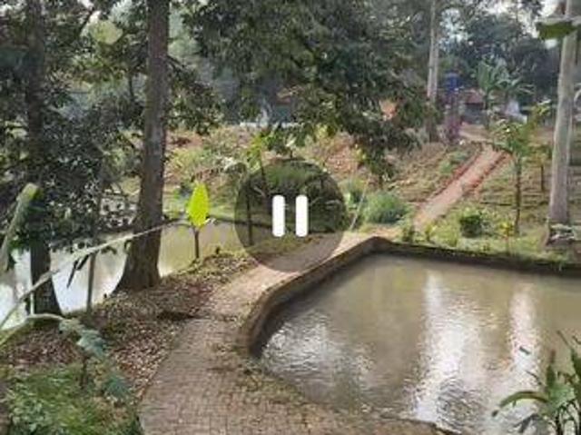 Tanah dijual di Pandeglang, Pandeglang