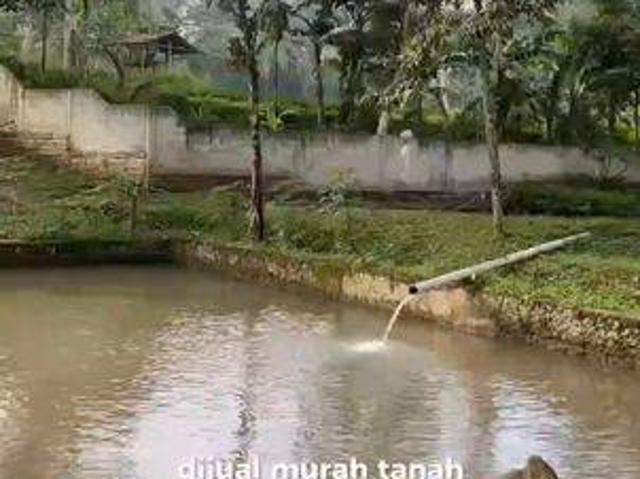 Tanah dijual di Pandeglang, Pandeglang