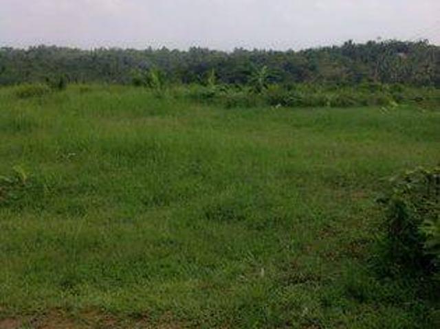 Tanah dijual di Pandeglang, Pandeglang