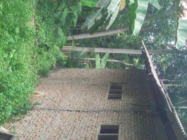 Tanah dijual di Pandeglang, Pandeglang