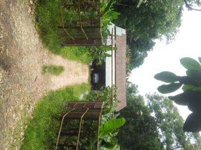 Tanah dijual di Pandeglang, Pandeglang